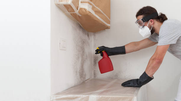 Professional Mold Cleanup technician working in Hayes, VA